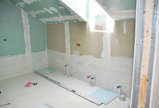 Best Water Damage & Mold Remediation  in Hudson, IA