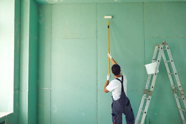 Best Mold Damage Restoration  in Hudson, IA