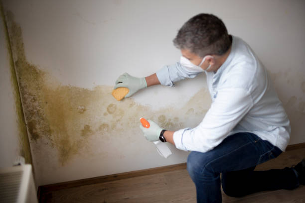 Dehumidification Services in Hudson, IA