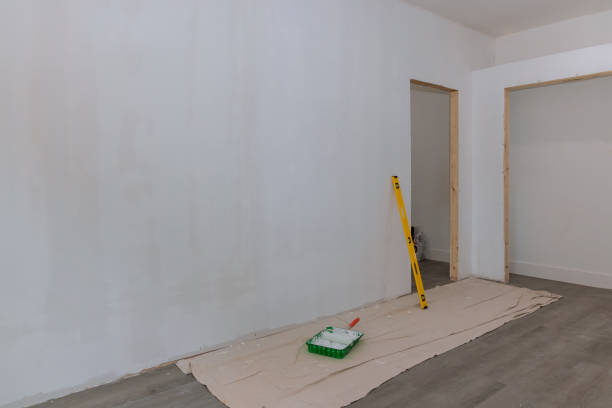 Environmental Consulting for Mold Prevention in Hudson, IA