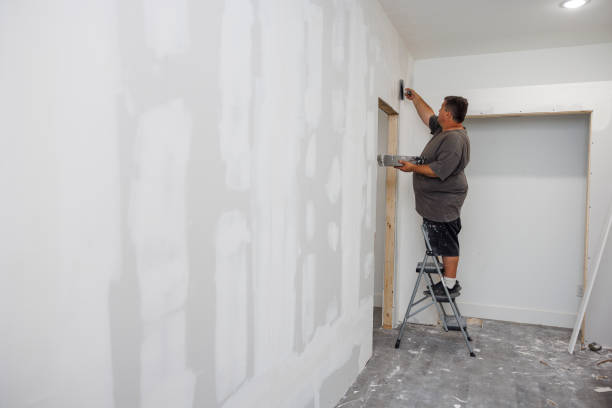 Hudson, IA Mold Removal Company