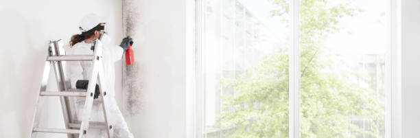 Best Mold-Related Health Consultation  in Hudson, IA